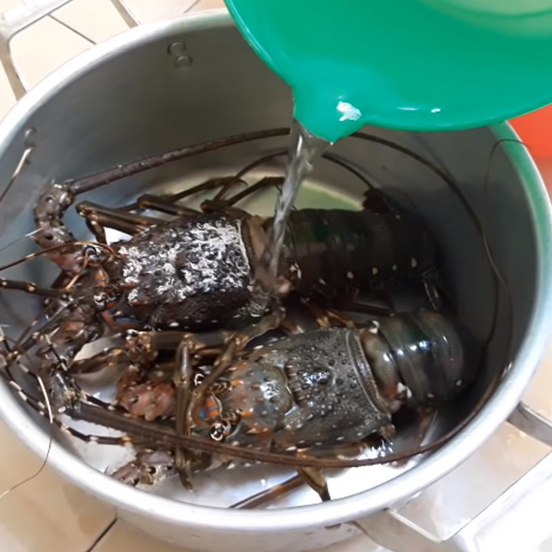 Tôm hùm chuẩn bị được luộc
