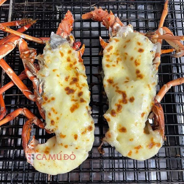 Cách Làm Tôm Hùm Nướng Phô Mai Mozzarella – Món Ăn Độc Đáo Và Hấp Dẫn