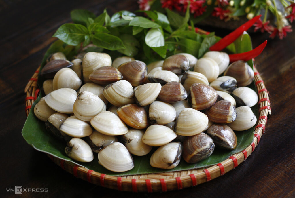 Các loại ngao cũng cung cấp nhiều canxi cho cơ thể