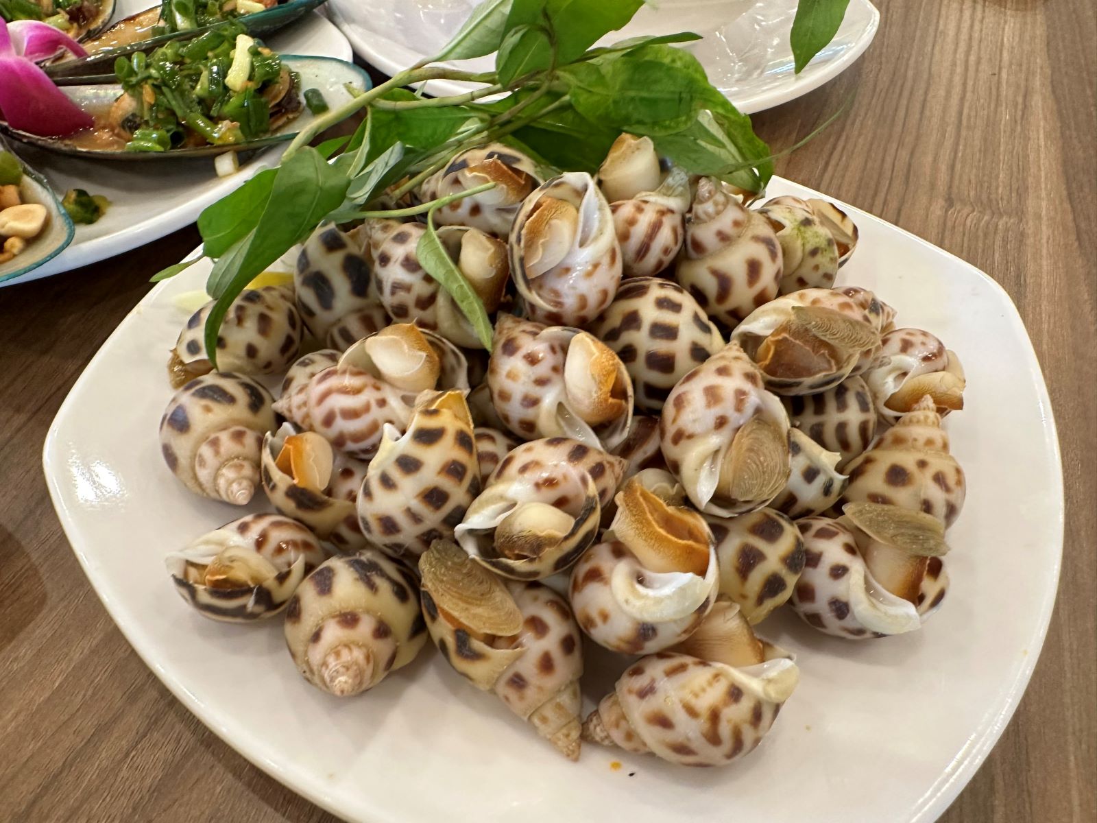 Hải Sản Nào Giúp Cải Thiện Tiêu Hóa? Khám Phá 5 Loại Hải Sản Hỗ Trợ Tiêu Hóa Tốt Nhất