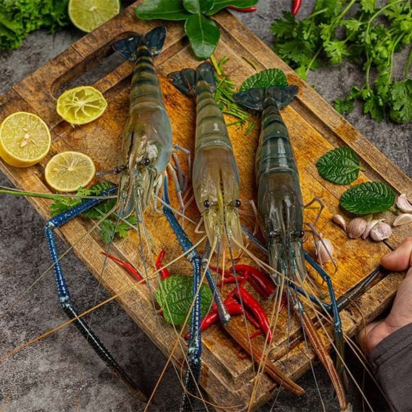 Tôm càng xanh tươi ngon loại 1