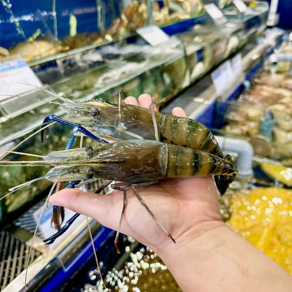 Tôm càng xanh tươi sống ngon nhất