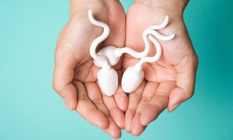 Ăn hải sản gì tốt cho tinh trùng?