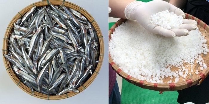 Nguyên liệu làm nước mắm cá cơm