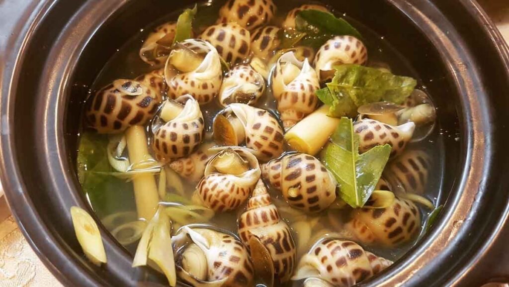 Cách luộc ốc hương ngon tại nhà