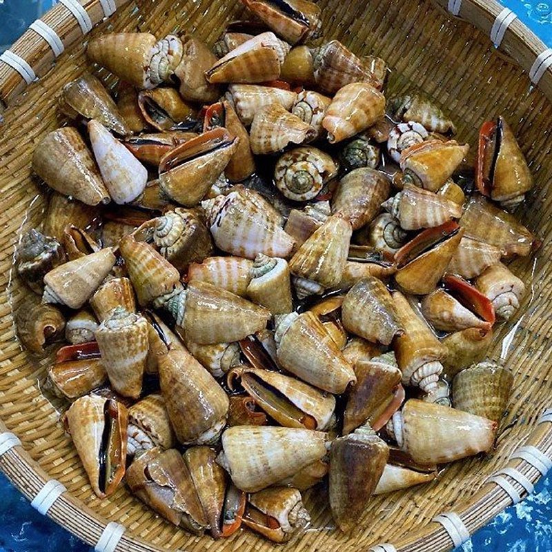 Ốc Nhảy Bao Nhiêu Calo? Tìm Hiểu Về Dinh Dưỡng Của Ốc Nhảy