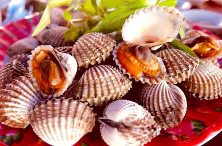 Thịt sò huyết có máu màu đỏ