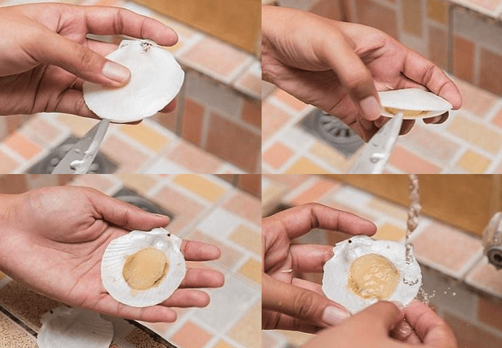 Sơ chế sò điệp