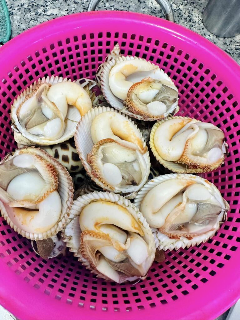Cách làm sò dương hấp sả đơn giản tại nhà