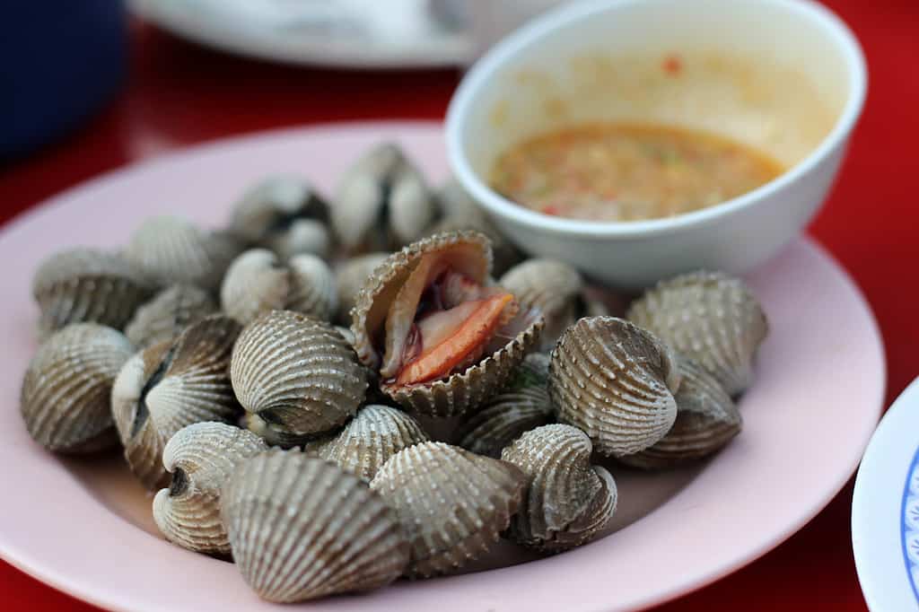 Cách Hấp Sò Huyết Ngon Đúng Chuẩn – Mẹo và Lưu Ý Chi Tiết