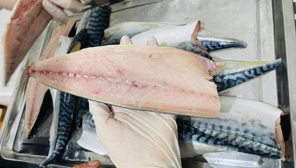 Phân Biệt Cá Saba Và Cá Basa – Hướng Dẫn Chi Tiết Nhất