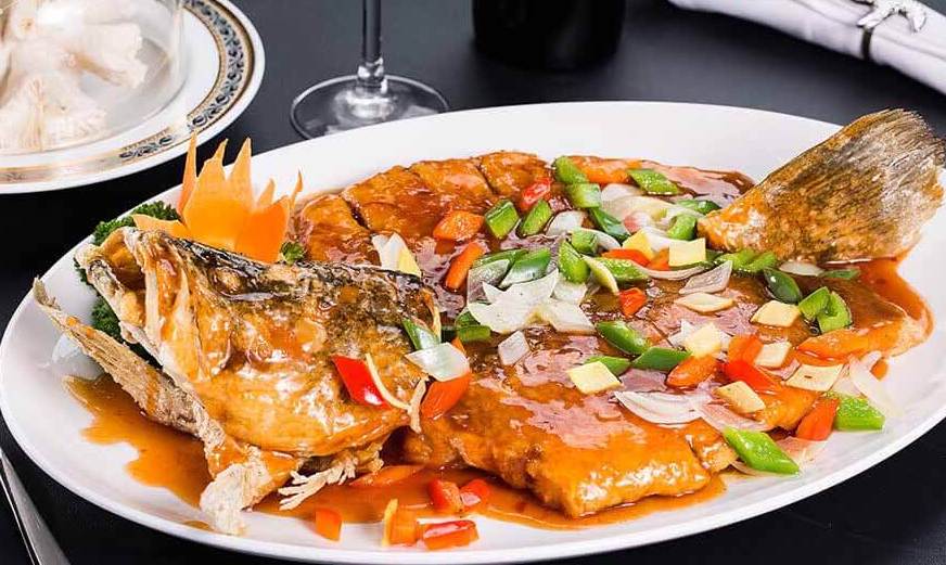 CÁ CHẼM SỐT CAM