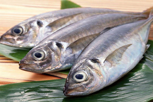 Cá biển tươi
